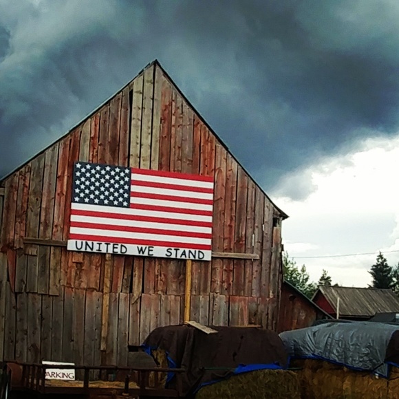 Meet your Posher, Stephen - Picture 1 of 1